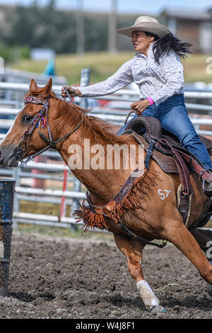 Barrel Racer beim Kainai Rodeo in Standoff, Alberta, Kanada Stockfoto