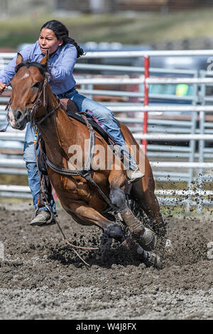 Barrel Racer beim Kainai Rodeo in Standoff, Alberta, Kanada Stockfoto