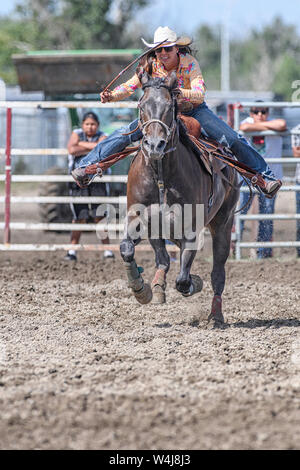 Barrel Racer beim Kainai Rodeo in Standoff, Alberta, Kanada Stockfoto