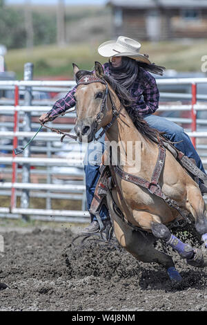 Barrel Racer beim Kainai Rodeo in Standoff, Alberta, Kanada Stockfoto