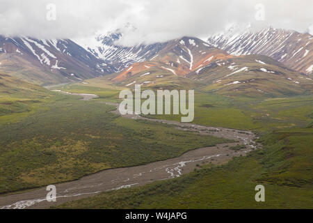 Blick von Polychrome, Denali National Park, Alaska Stockfoto