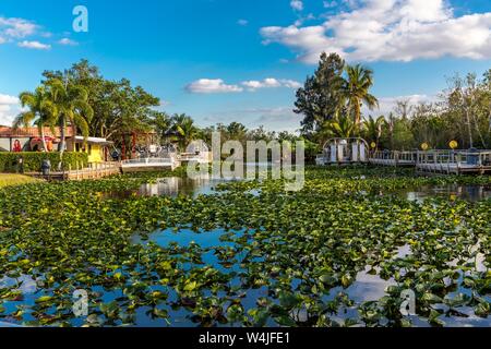 Propeller Bootssteg, Safari Park, Everglades National Park, Florida, USA Stockfoto