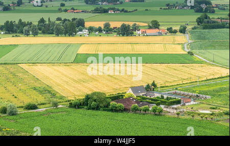 Diksmuide, Flandern, Belgien - Juni 19, 2019: Blick auf Bauernhöfen und landwirtschaftlichen Flächen von bis IJzertoren, dem höchsten Peace Monument von WW 1. Grün, Gelb und Rot Stockfoto