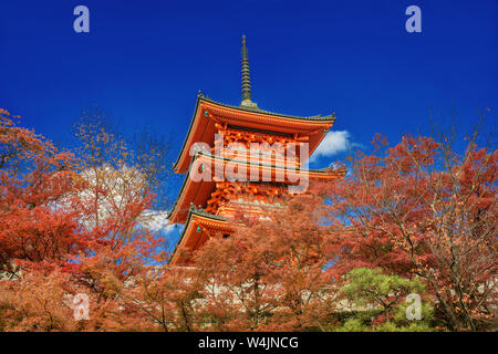 Die berühmten Kiyomizu Tempel Pagode steigen über Blätter im Herbst Stockfoto