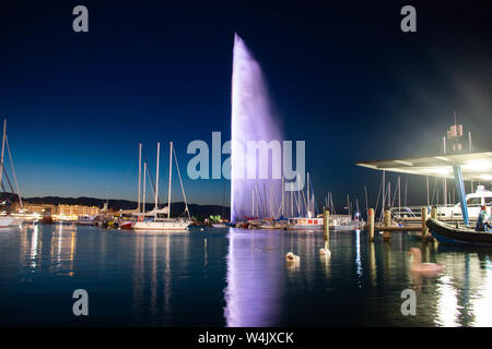 Lange Belichtung Erfassung der Jet d'Eau mit Schwäne schwimmen in einer Bootswerft in Genf in der Schweiz Stockfoto