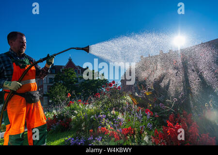 München, Deutschland. 24. Juli, 2019. Ein Mitarbeiter der Stadt bewässert die Blumenbeete am Gärtnerplatz in den Morgenstunden. Credit: Peter Kneffel/dpa/Alamy leben Nachrichten Stockfoto