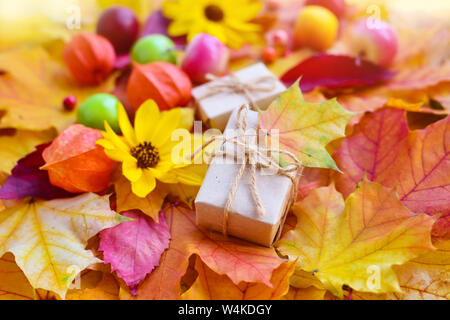 Herbst Hintergrund mit Ahorn Blätter, Blumen, Äpfel und Beeren Stockfoto