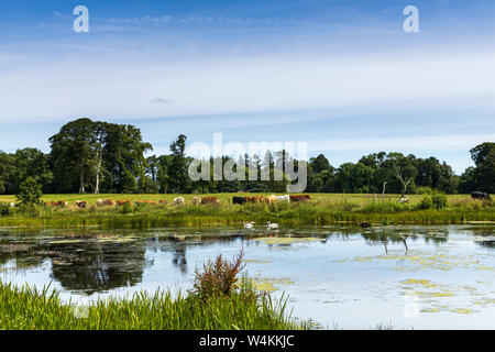 See am Schloß Bad Berleburg und Parklandschaften, Blessinton, County Wicklow, Irland Stockfoto