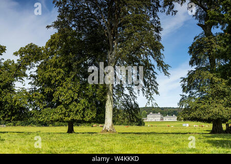 Die PALLADIANISCHE Villa, russborough House und Parkanlagen, von Richard Cassells, Blessinton, County Wicklow, Irland konzipiert Stockfoto