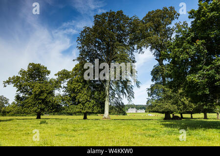 Die PALLADIANISCHE Villa, russborough House und Parkanlagen, von Richard Cassells, Blessinton, County Wicklow, Irland konzipiert Stockfoto