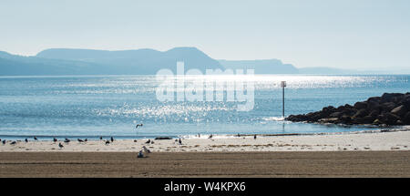 Lyme Regis, Dorset, Großbritannien. 24. Juli 2019. UK Wetter: eine glühend heiße Start in den Tag in Lyme Regis. Um 8 Uhr morgens einen ruhigen Morgen vor Massen von Touristen den Strand. Celia McMahon/Alamy Leben Nachrichten. Stockfoto