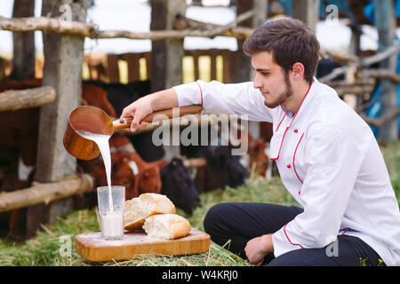 Rohmilch. Ein Mann gießt Milch vor dem Hintergrund der Kühe Stockfoto