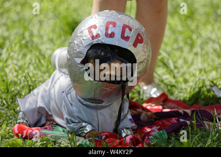 Dackel Hund im Kostüm der Sowjetischen Astronaut mit Text UDSSR auf seinem Raumanzug Helm während der DACKEL Parade in St. Petersburg, Russland gekleidet Stockfoto