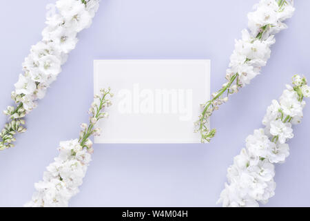 Flach Luxus leere Grußkarte dekorieren mit weißen Blumen auf pastellfarbenen Hintergrund isoliert Stockfoto