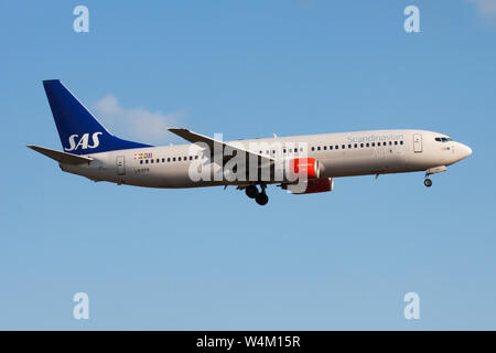 FRANKFURT/Deutschland - 20. AUGUST 2013: Scandinavian Airlines Boeing 737-800 LN-RPR Passagierflugzeug landen am Flughafen Frankfurt Stockfoto