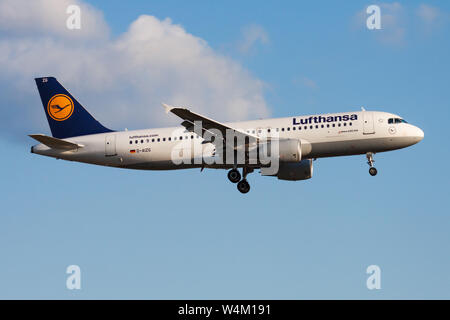 FRANKFURT/Deutschland - 20. AUGUST 2013: Lufthansa Airbus A320 D-AIZG Passagierflugzeug landen am Flughafen Frankfurt Stockfoto