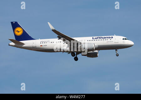 FRANKFURT/Deutschland - vom 21. AUGUST 2013: Lufthansa Airbus A320 D-AIZV Passagierflugzeug landen am Flughafen Frankfurt Stockfoto