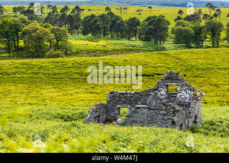 Ruinen einer alten Steinhaus in den Wicklow Mountains in der Nähe von Sally Gap, Irland Stockfoto