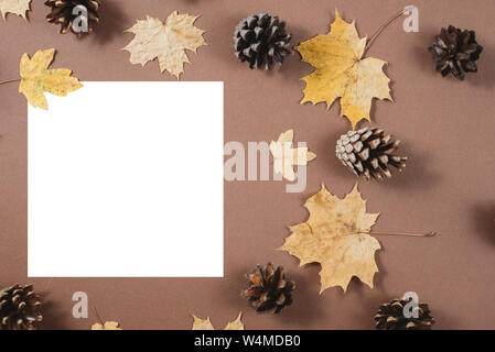 Herbst Komposition. Beulen, Herbst Ahorn Blätter und weiße Rahmen auf braunem Hintergrund. Flach, Ansicht von oben, kopieren Raum Stockfoto