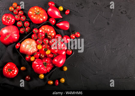 Tomaten auf schwarzem Hintergrund oben kopieren. Stockfoto