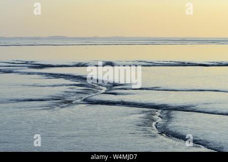 Tide Wege in das Austrocknen Wattenmeer der Bucht Dollart durch niedrige Wasser im warmen Abendlicht, 19. April 2019 | Verwendung weltweit Stockfoto