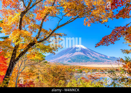 Mt. Fuji, Japan gesehen von Yamanaka Lake mit Herbst Laub. Stockfoto