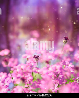 Bunte Frühlingsblumen Kulisse, 3 Abbildung d für Ihre Fantasie Szene Stockfoto