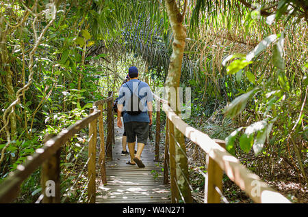Menschen zu Fuß auf einem hölzernen Fußweg mitten im Wald. Gerade weg von Bäumen und Pflanzen bei Bonito MS, Brasilien umgeben. Brasilianische Ecot Stockfoto