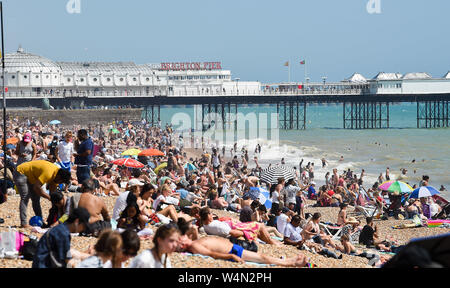 Brighton UK 24. Juli 2019 - Brighton Beach ist wieder wie die heißen, sonnigen Wetter in Großbritannien weiterhin verpackt. Die hitzewelle Bedingungen sind die Aussichten weiterhin Morgen und Temperaturen erwartet werden neue Datensätze mit, wie man es erreichen kann so hoch wie 39 Grad Celsius in London zu schlagen. Foto: Simon Dack/Alamy leben Nachrichten Stockfoto