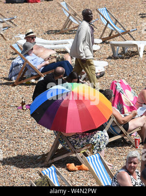 Brighton UK 24. Juli 2019 - Brighton Beach ist wieder wie die heißen, sonnigen Wetter in Großbritannien weiterhin verpackt. Die hitzewelle Bedingungen sind die Aussichten weiterhin Morgen und Temperaturen erwartet werden neue Datensätze mit, wie man es erreichen kann so hoch wie 39 Grad Celsius in London zu schlagen. Foto: Simon Dack/Alamy leben Nachrichten Stockfoto