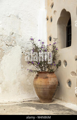 Terrakotta Pflanzmaschine und Fenster in Emporio Santorini Stockfoto