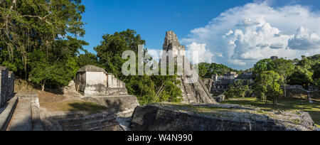 Guatemala, Tempel I oder Tempel der Großen Jaguar, ist ein grabkunst Pyramide zu Jasaw Chan K'awil, die in der Struktur im AD 734 Entombed gewidmet war, die Pyramide rund 740 abgeschlossen wurde - 750 und erhebt sich 47 Meter oder 154 Fuß hoch, die nördlich der Akropolis im Vordergrund, mit der zentralen Akropolis und roofcomb der Tempel V im Hintergrund, Tikal Nationalpark, ist eine archäologische Stätte der präkolumbischen Maya Kultur und seit 1979 Weltkulturerbe der UNESCO. Stockfoto