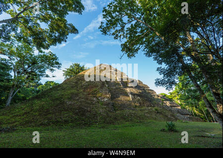 Guatemala, Zivilisation der Maya Ruinen von Tikal National Park, ein UNESCO-Weltkulturerbe, Mundo Perdido oder Verlorene Welt komplex. Stockfoto