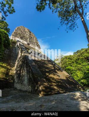 Guatemala, Tempel V, der in der archäologischen Ausgrabungsstätte der alten Maya Kultur in Tikal Nationalpark, UNESCO-Weltkulturerbe, Tempel V wurde um 700 AD in der späten klassischen Periode erbaut und ist 57 Meter oder 187 Fuß hoch, ist es das zweite Bauwerk der Ruinen von Tikal. Stockfoto