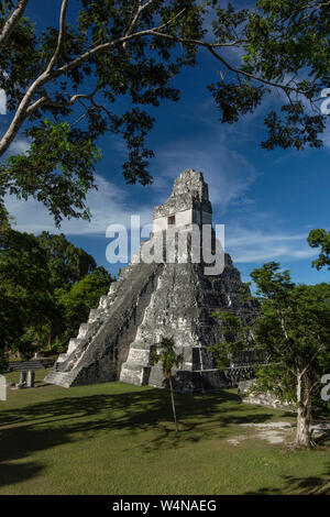 Guatemala, Tempel I oder Tempel der Großen Jaguar, ist ein grabkunst Pyramide zu Jasaw Chan K'awil, die in der Struktur im AD 734 Entombed gewidmet war, die Pyramide rund 740 abgeschlossen wurde - 750 und erhebt sich 47 Meter oder 154 Fuß hoch, Tikal Nationalpark, ist eine archäologische Stätte der präkolumbischen Maya Kultur und seit 1979 Weltkulturerbe der UNESCO. Stockfoto