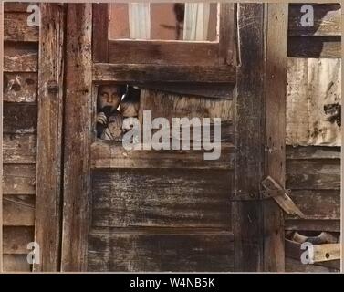 Kinder von Wanderarbeitnehmern spähen durch ein Loch in der ihr Lager Haus in Kern County, Kalifornien, 1940. Hinweis: Das Bild hat digital über ein modernes Prozess eingefärbt worden. Farben möglicherweise nicht sein - genau. Mit freundlicher Genehmigung der nationalen Archive. () Stockfoto