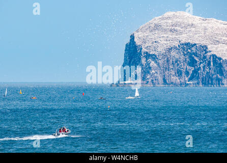 North Berwick, East Lothian, Schottland, Vereinigtes Königreich, 24. Juli 2019. RS Aero Challenge Cup: East Lothian Yacht Club Hosts die Segelregatta mit 80 Jollen für eine Herausforderung handicap Cup vor Großbritannien Nationale & Internationale Offene Meisterschaft stattfindet, über 4 Tage ab morgen konkurrieren. Die jollen Rennen um einen Kurs im Firth von weiter in der Nähe der Bass Rock gannet Kolonie mit Tausenden von basstölpel Fliegen um Sie herum Stockfoto