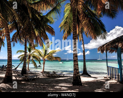 Einen karibischen Strand, eine Linie von Palmen am weißen Sandstrand mit tiefblauen Himmel und azurblauen Meer mit einer ruhigen Erfrischung Hütte und. . Stockfoto