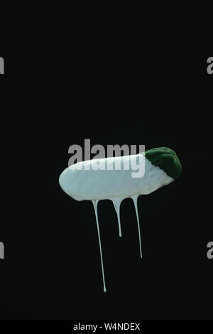 Grüne Gurke Tropfen weißer Farbe auf einem schwarzen blackground. Stockfoto