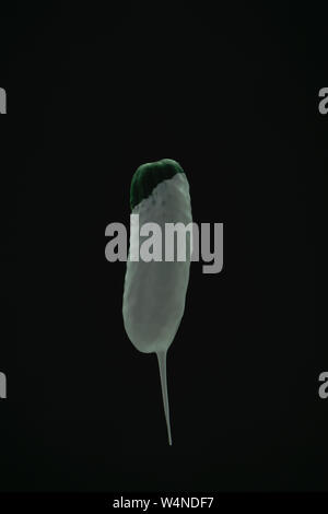 Grüne Gurke Tropfen weißer Farbe auf einem schwarzen blackground. Stockfoto
