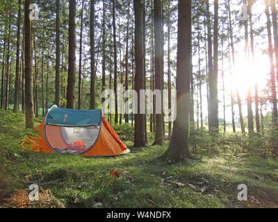 Zwei Sekunden camping Zelt in Wold Wald Hintergrund Fine Art Drucke in hoher Qualität Produkte Stockfoto