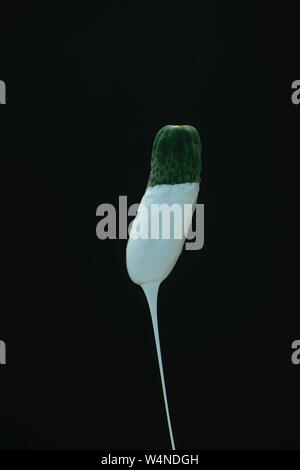 Grüne Gurke Tropfen weißer Farbe auf einem schwarzen blackground. Stockfoto