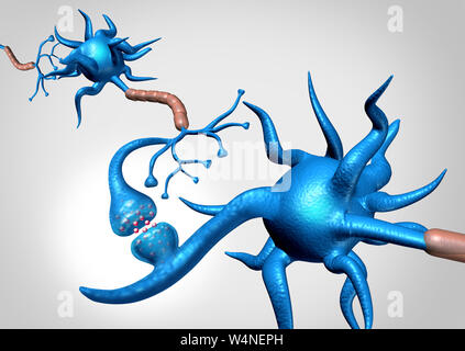 Neuron synapse Zellen Anatomie es ein elektrisches Signal als Neurologie Gehirnfunktion zu Speicher und das Nervensystem. Stockfoto