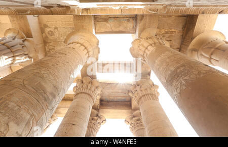 Spalte in Kom Ombo Tempel, Stadt Assuan, Ägypten Stockfoto