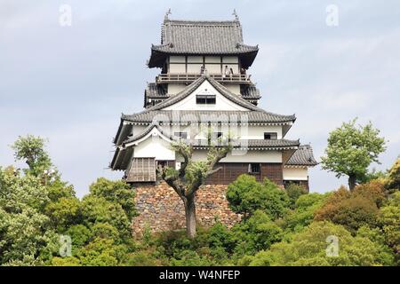 Japanische Burg in Inuyama, Japan - Stadt in Aichi prefeture der Region Chubu. Stockfoto