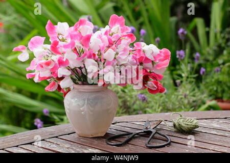 Lathyrus Odoratus "Painted Lady'. Bündel von frisch geschnittenen Hausgewachsene süssen Erbsen in einer Vase auf einen hölzernen Tisch in Großbritannien Sommer Garten Stockfoto