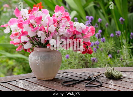 Lathyrus Odoratus "Painted Lady'. Bündel von frisch geschnittenen Hausgewachsene süssen Erbsen in einer Vase auf einen hölzernen Tisch in Großbritannien Sommer Garten Stockfoto