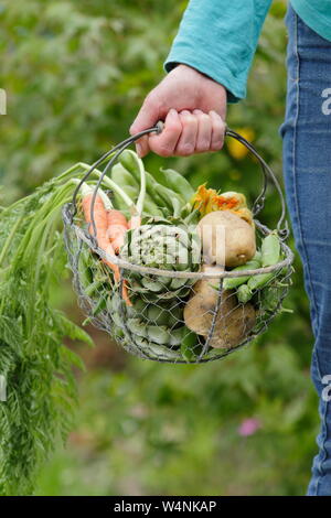 Frau, die Gemüse aus eigenem Anbau in einem Korb trägt - „Marfona“-Kartoffeln, Artischocken, Karotten, Erbsen, Bohnen. VEREINIGTES KÖNIGREICH Stockfoto