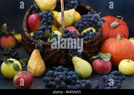 Herbst Stillleben mit Äpfeln, Trauben, Kürbis und Birnen auf einem dunklen Hintergrund entfernt, Herbst Ernte, Äpfel, Birnen und Trauben im Korb, horizontal Stockfoto