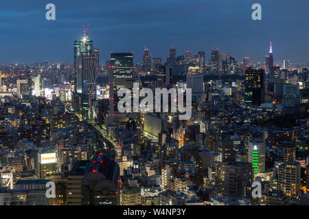 Blick auf die Skyline von Tokio bei Sonnenuntergang, Japan. Stockfoto